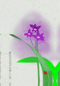 WIld Onion Blossoms Kanji