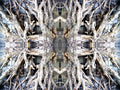 Mandala III - The Unconscious