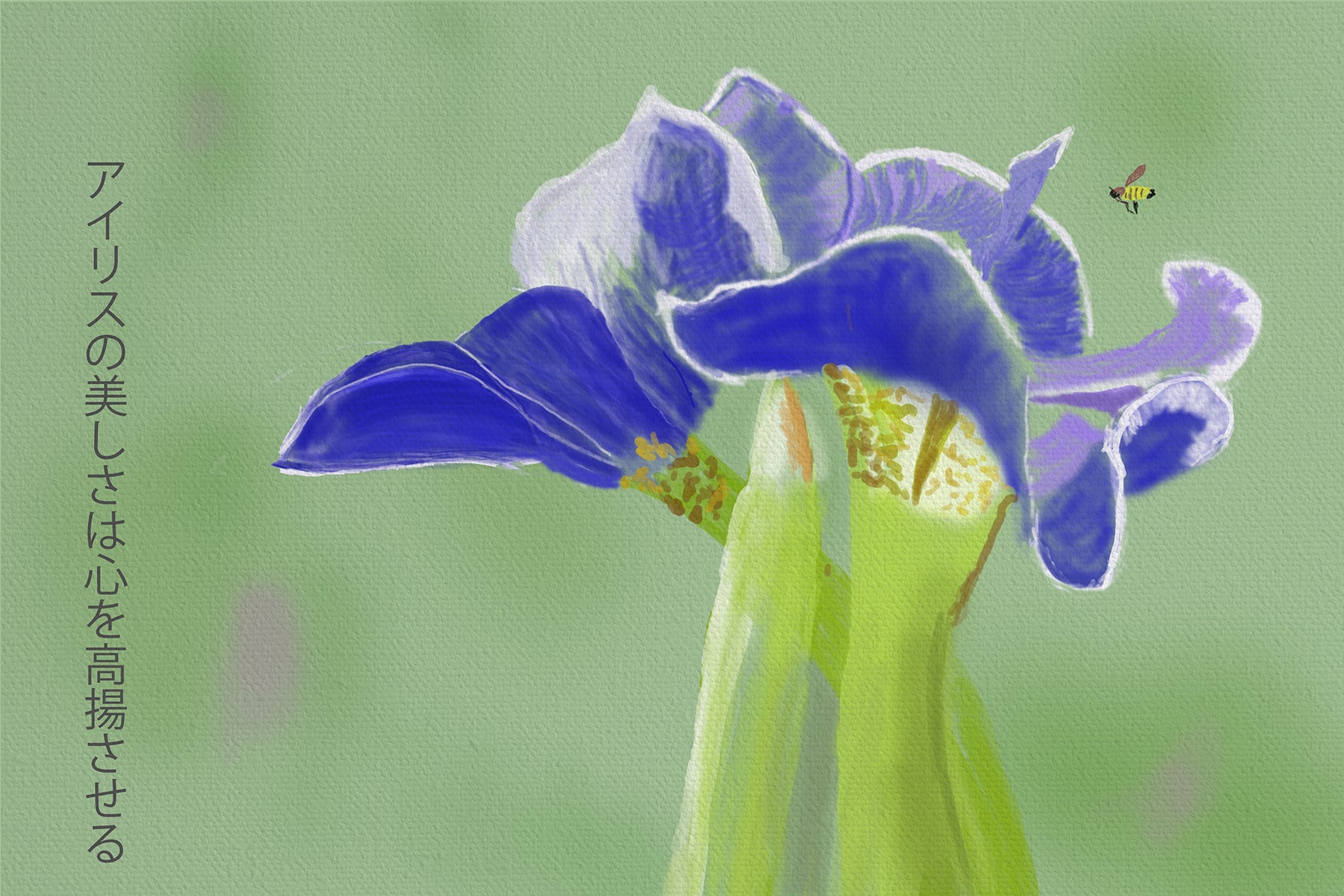 Iris Kanji