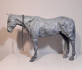 Horse Waiting