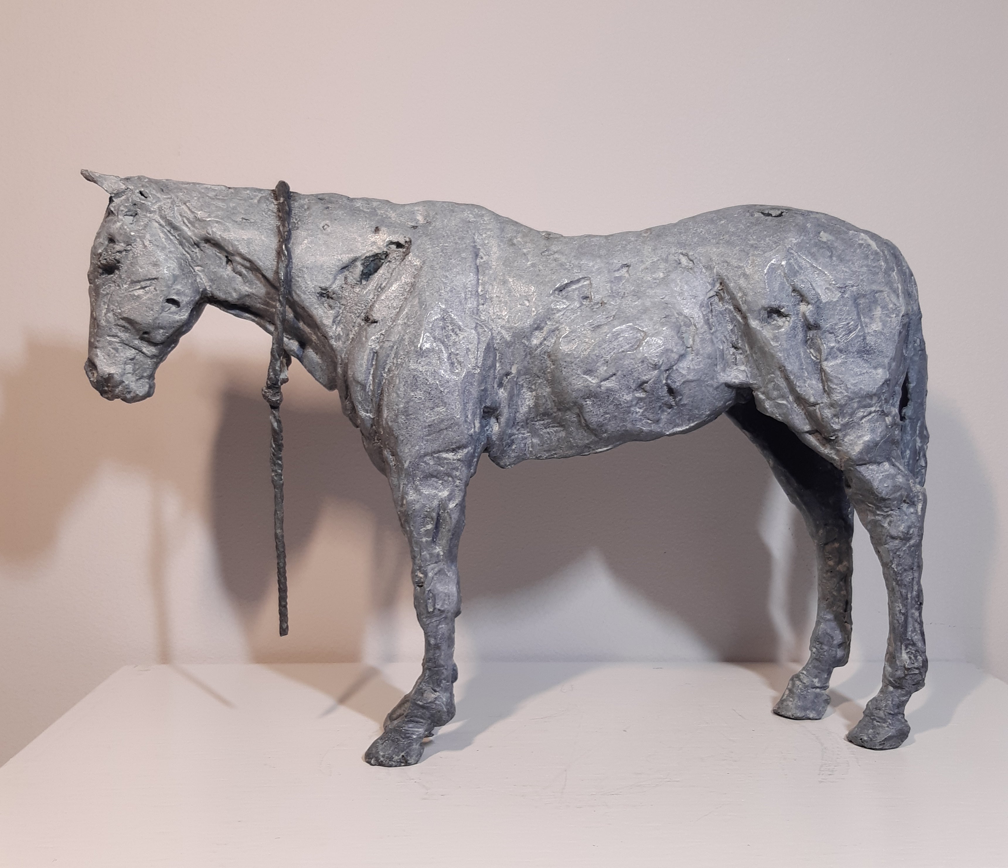 Horse Waiting