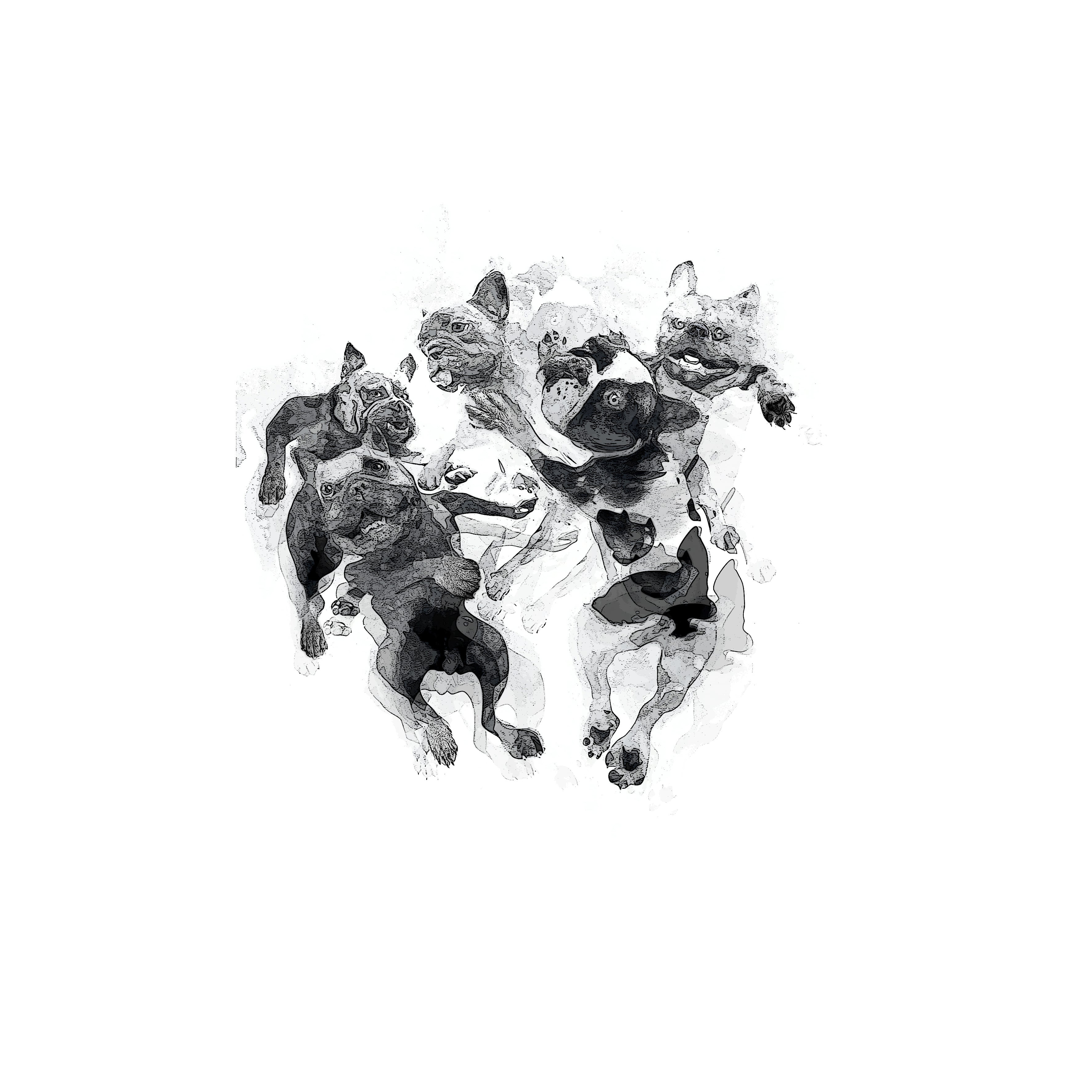 Five French Bulldogs dancing in the round, La Ronde