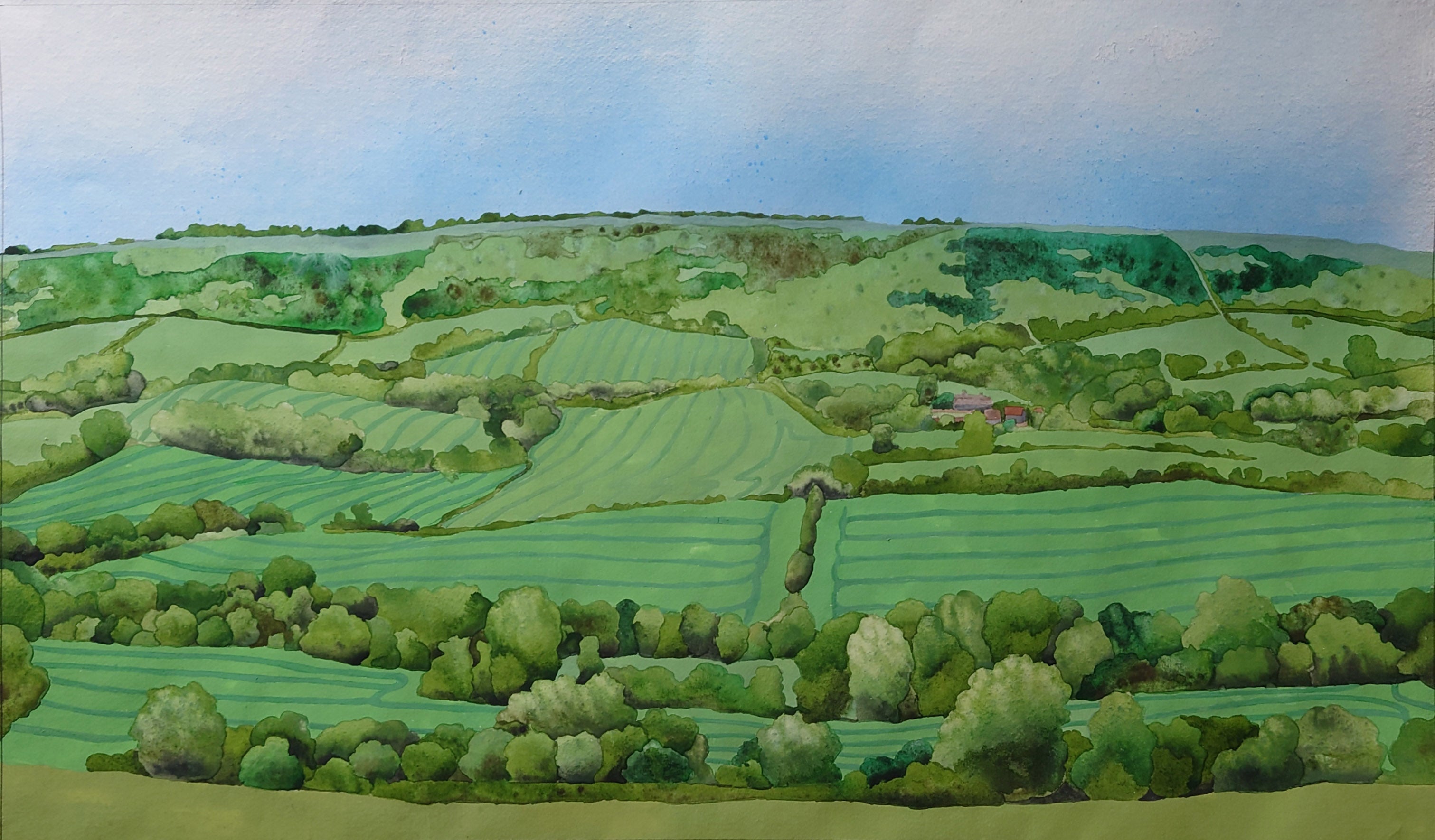 Dorset fields - 02