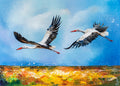 Messengers of Peace
