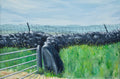 Wall, Gate & Fence, Peak District