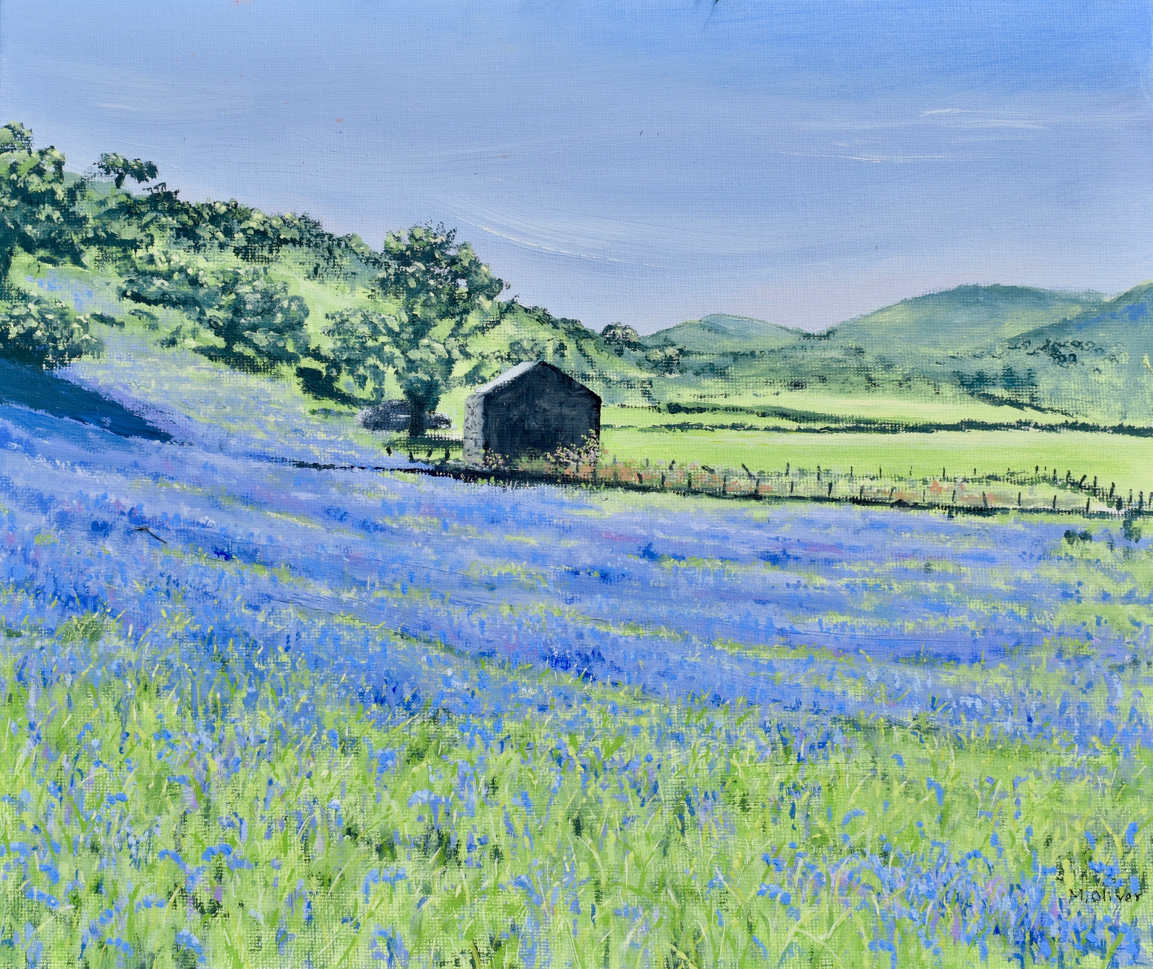 Bluebells, Cwm Pennant