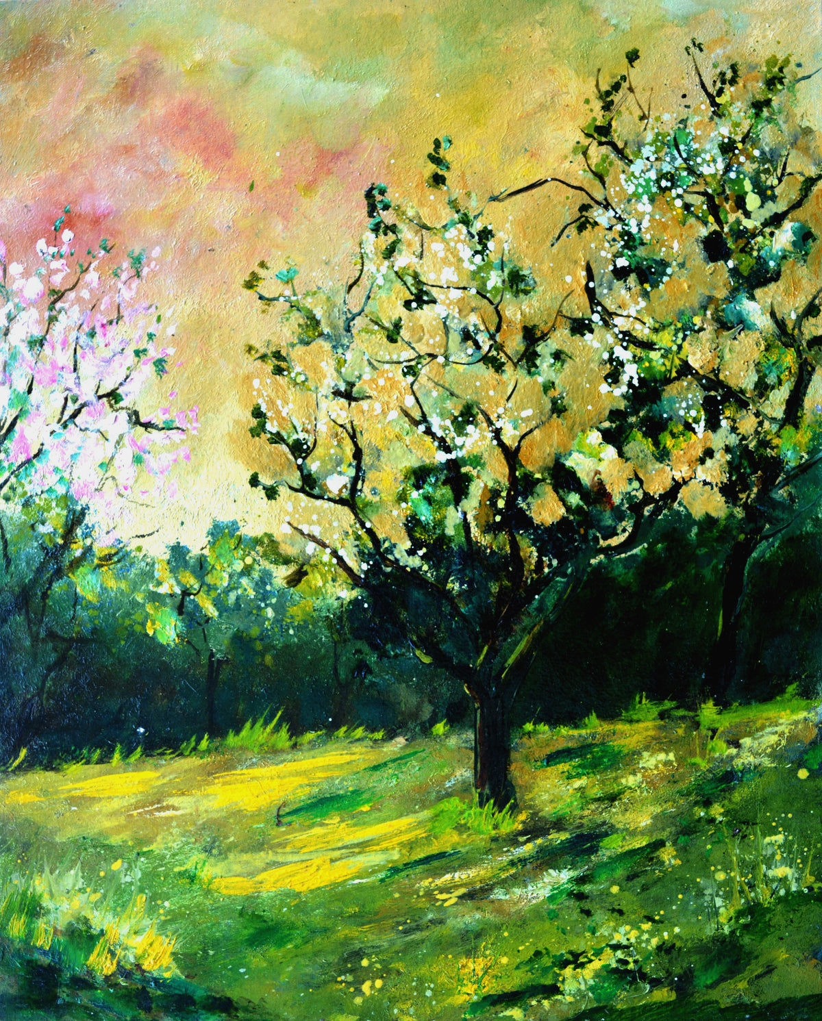Orchard in spring