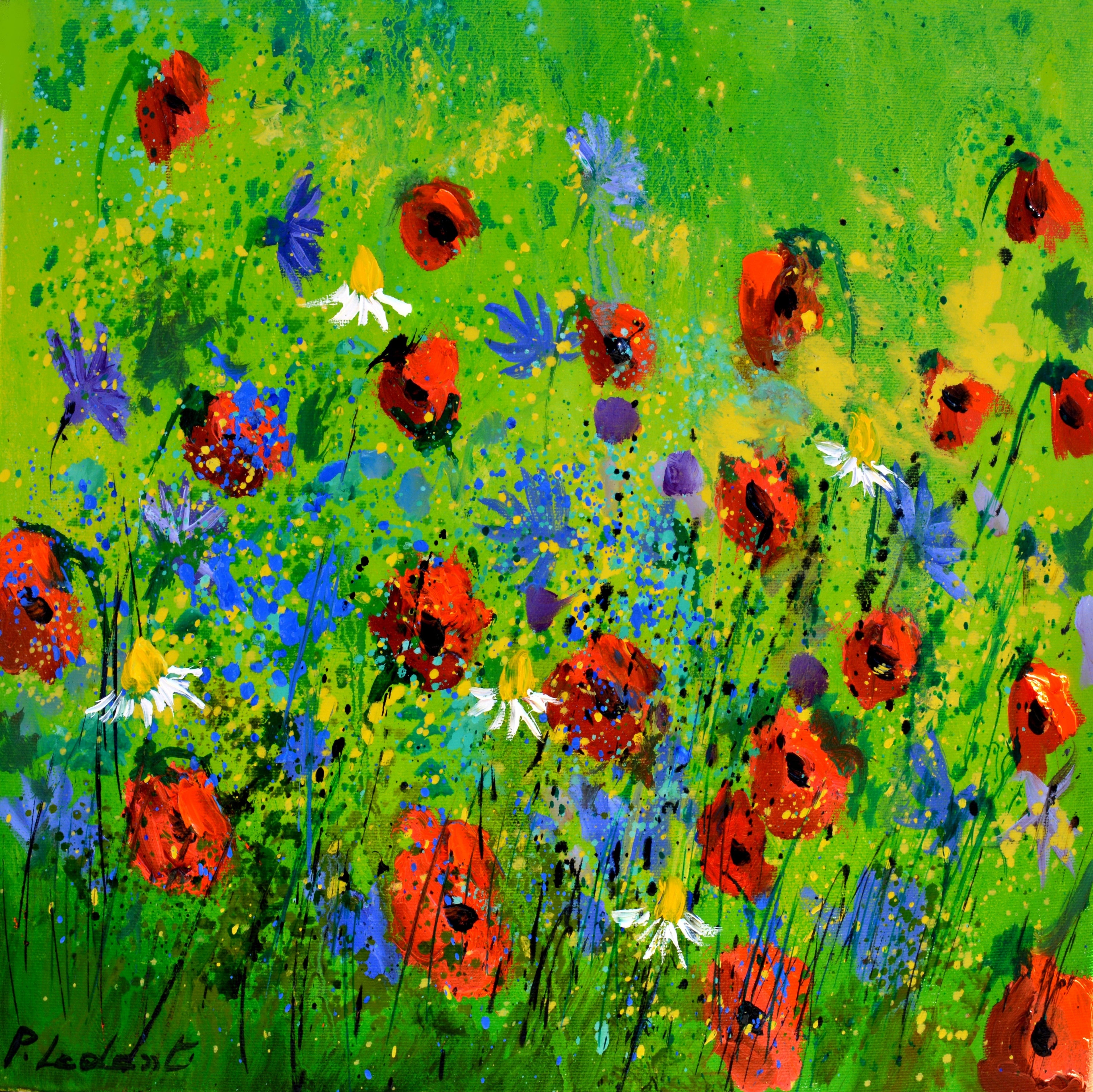 Poppies 4423