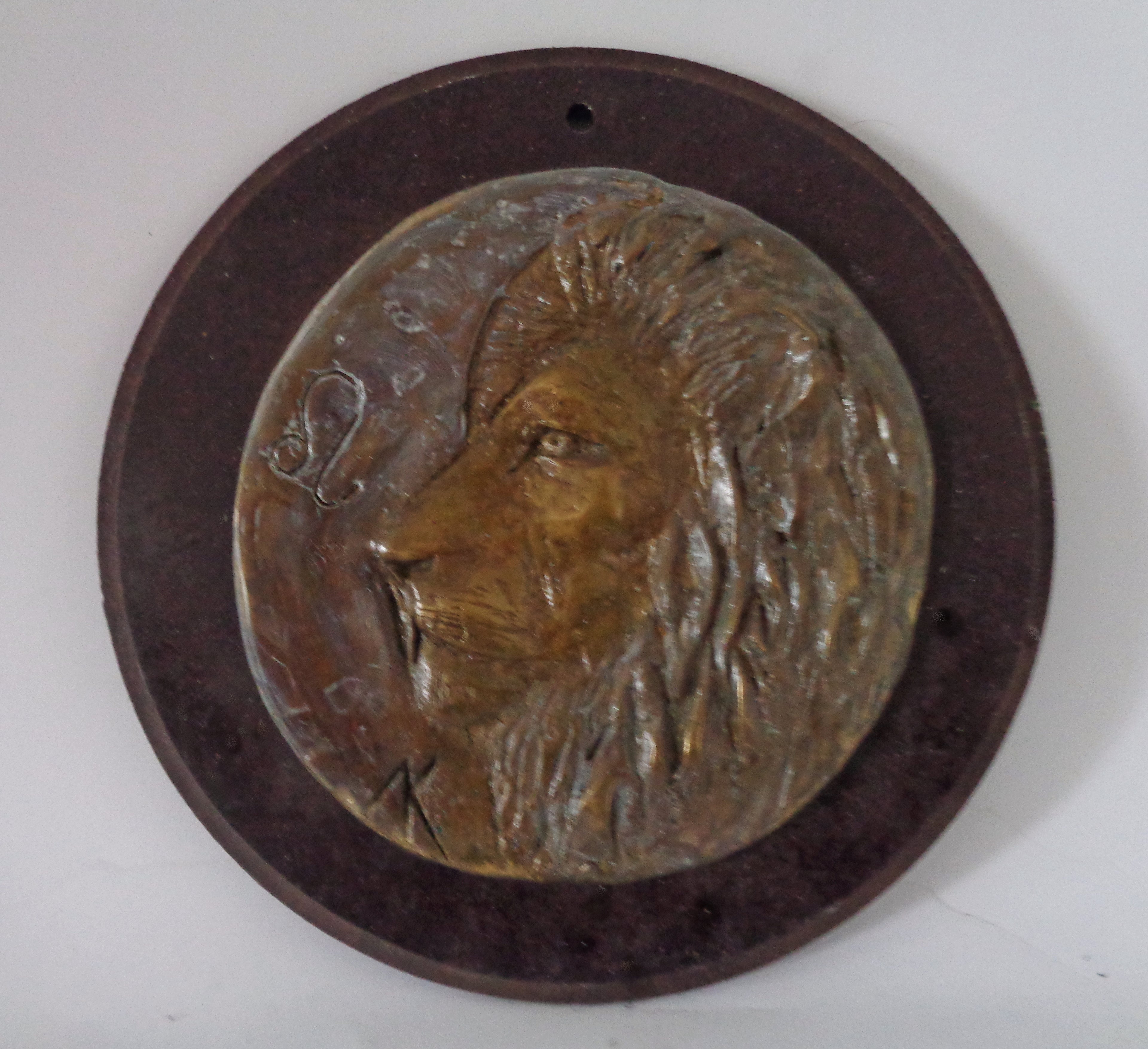 Zodiac LEO