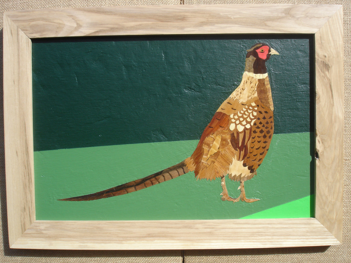 Pheasant