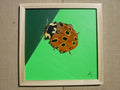Ladybird