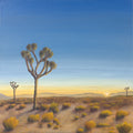 Sunrise Among The Joshua Trees