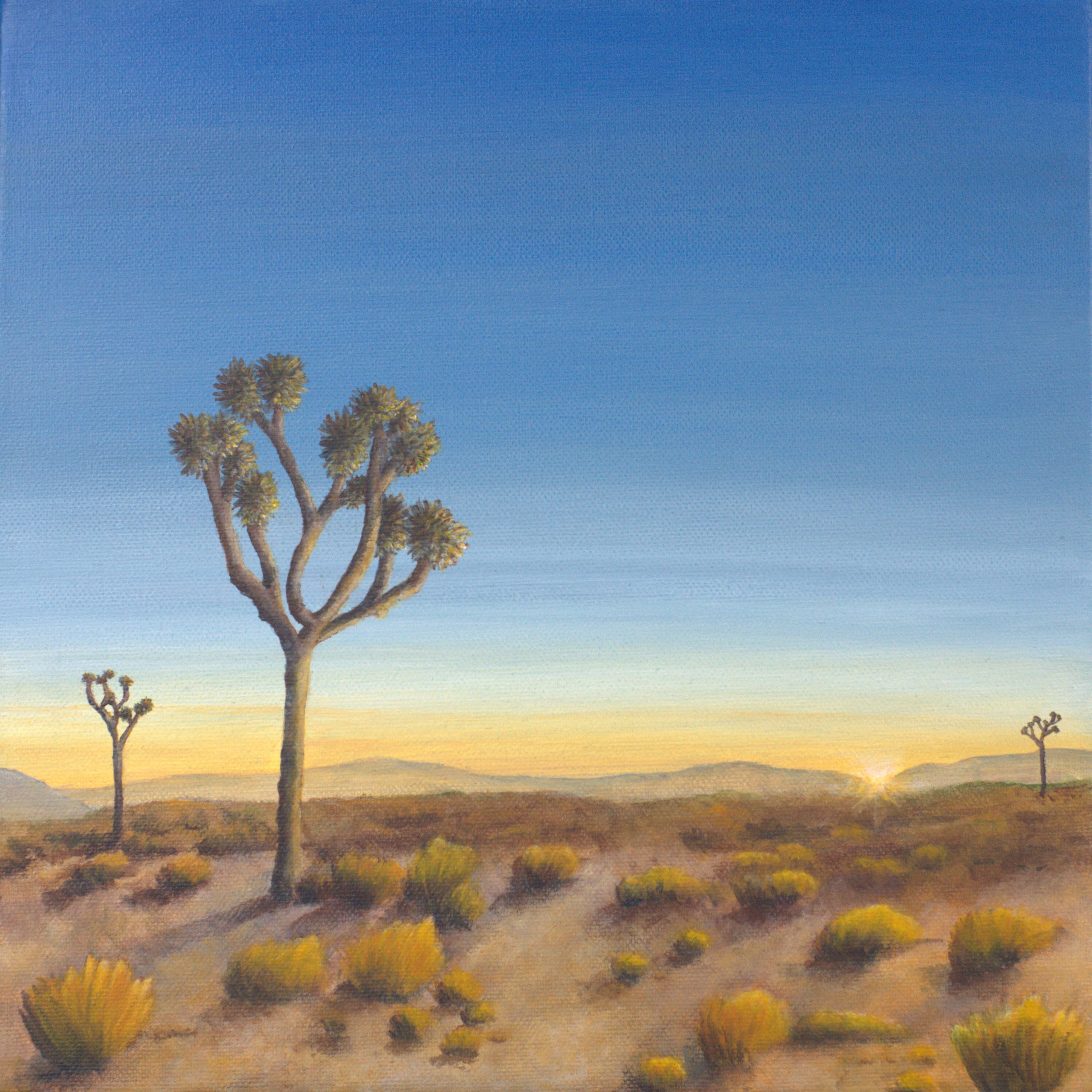 Sunrise Among The Joshua Trees