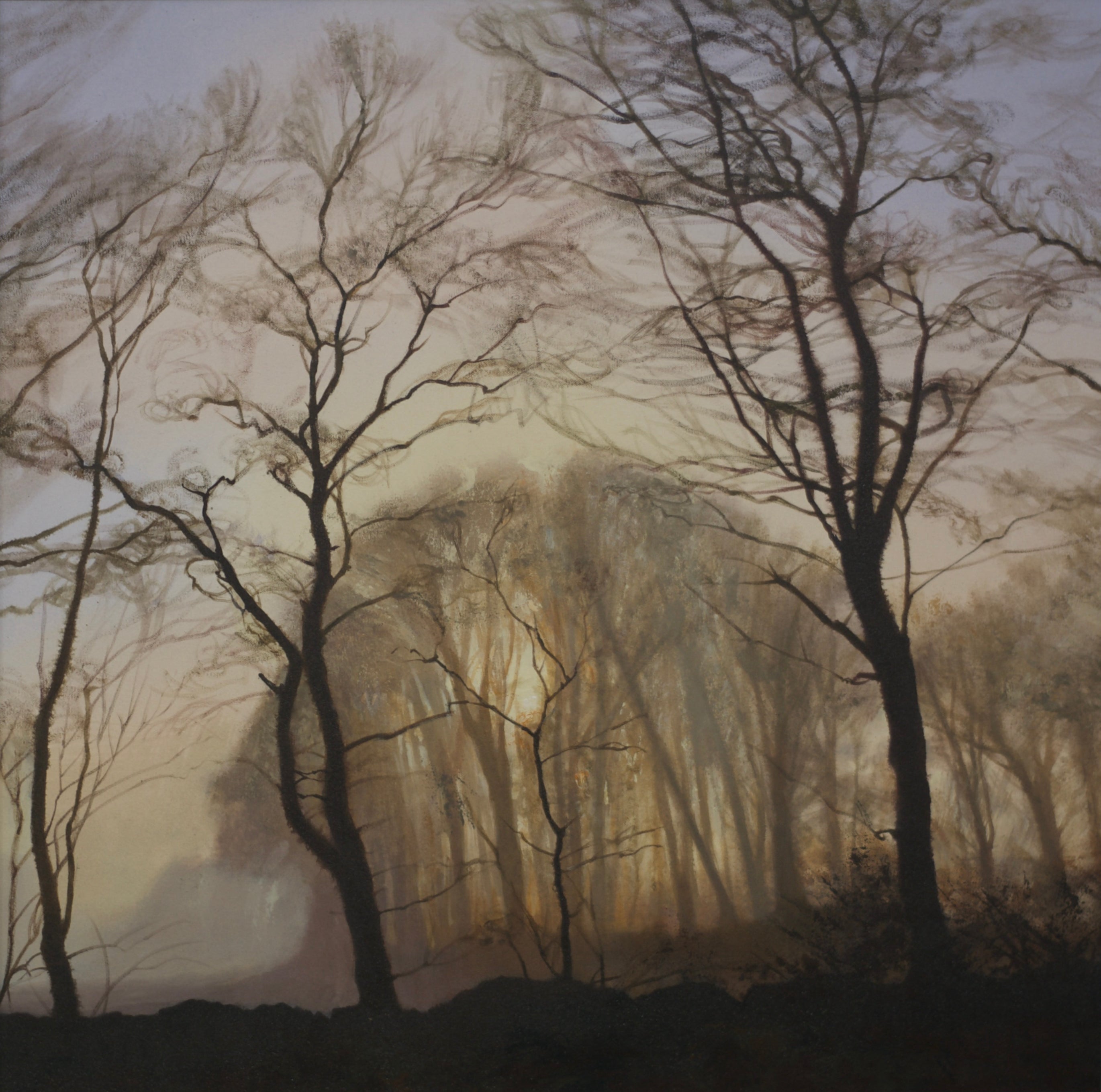 Misty Machars Copse