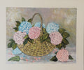 Hydrangeas in  Bloom