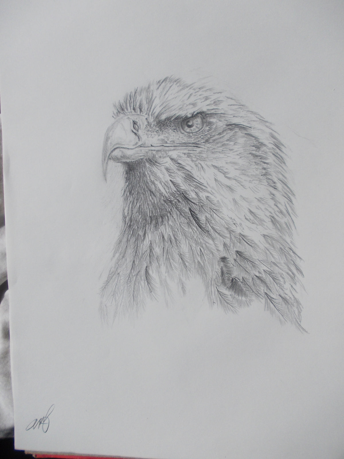 eagle look
