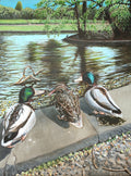 Duck Buddies