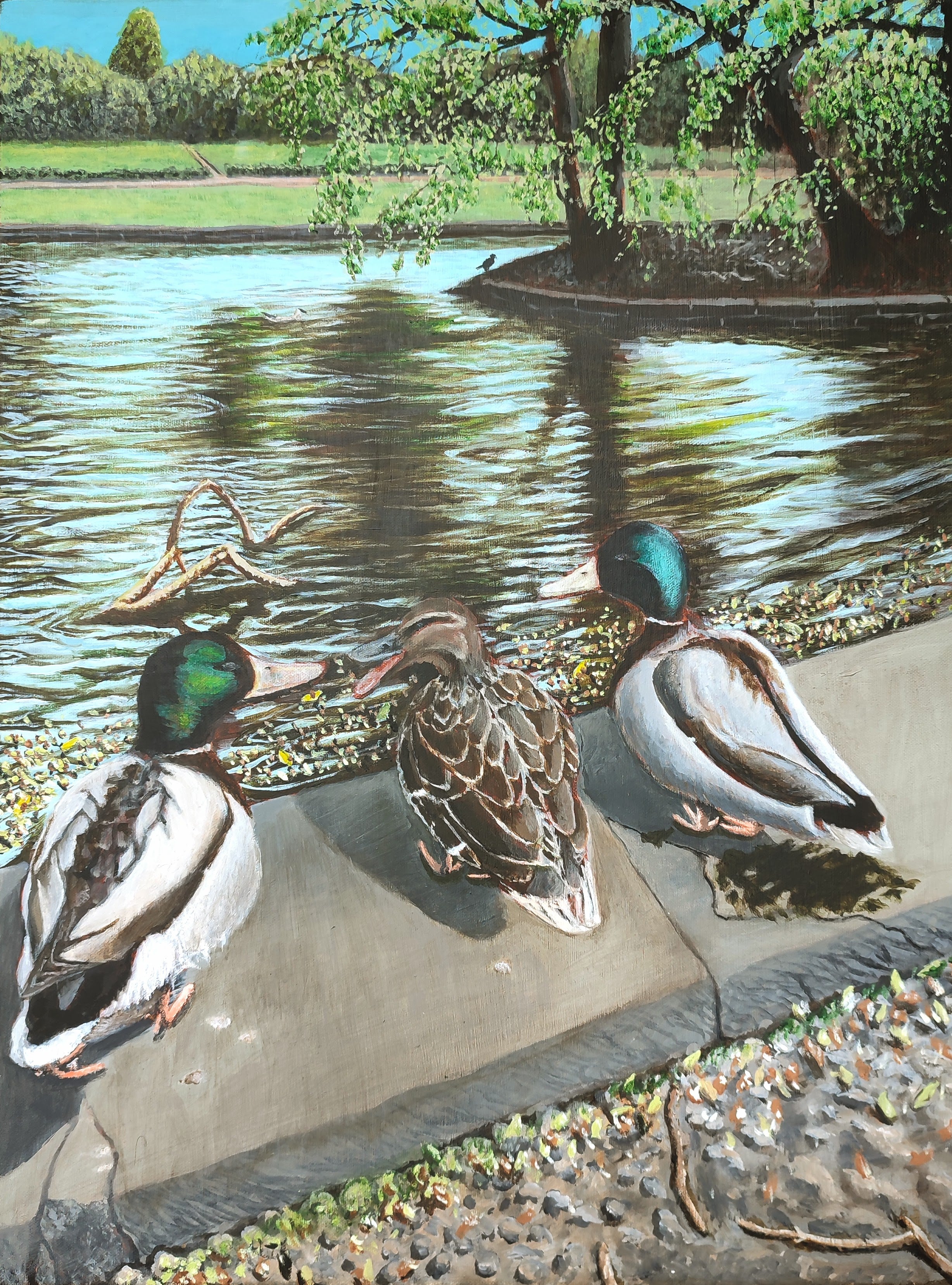 Duck Buddies