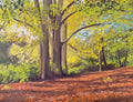Autumn at Dudmaston