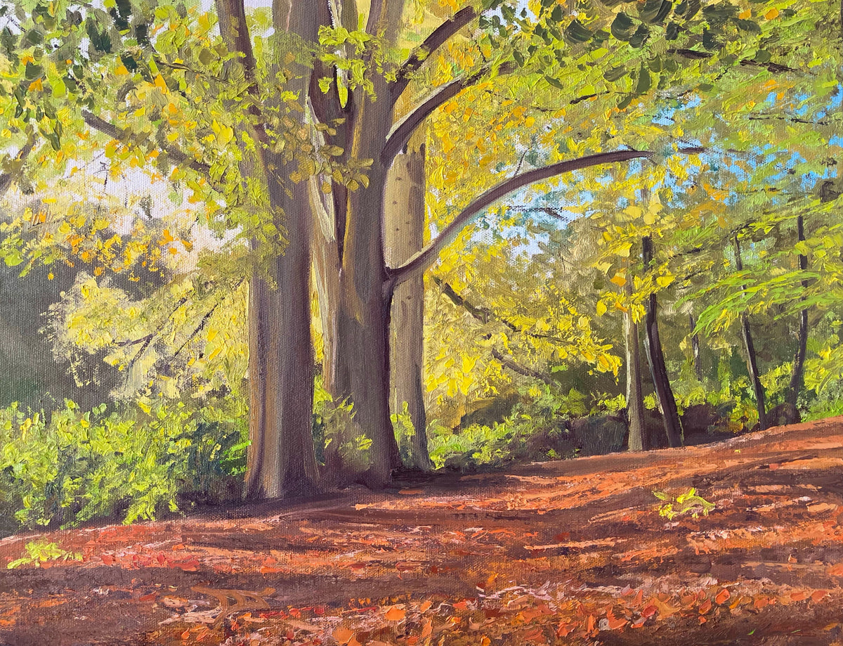 Autumn at Dudmaston