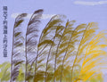 Dune Grass
