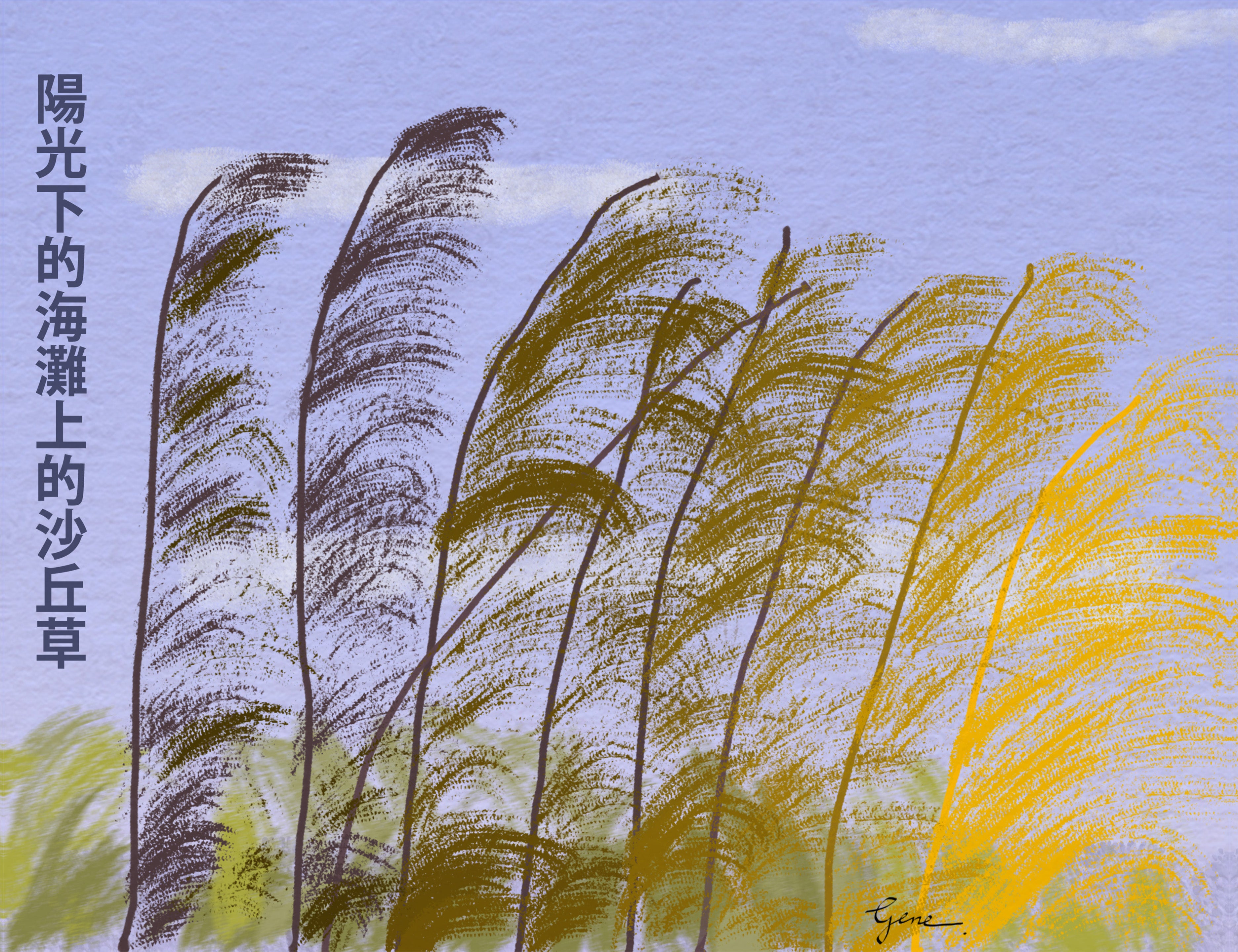 Dune Grass