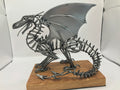 Anatomy of a Dragon