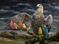 Covered by His Feathers