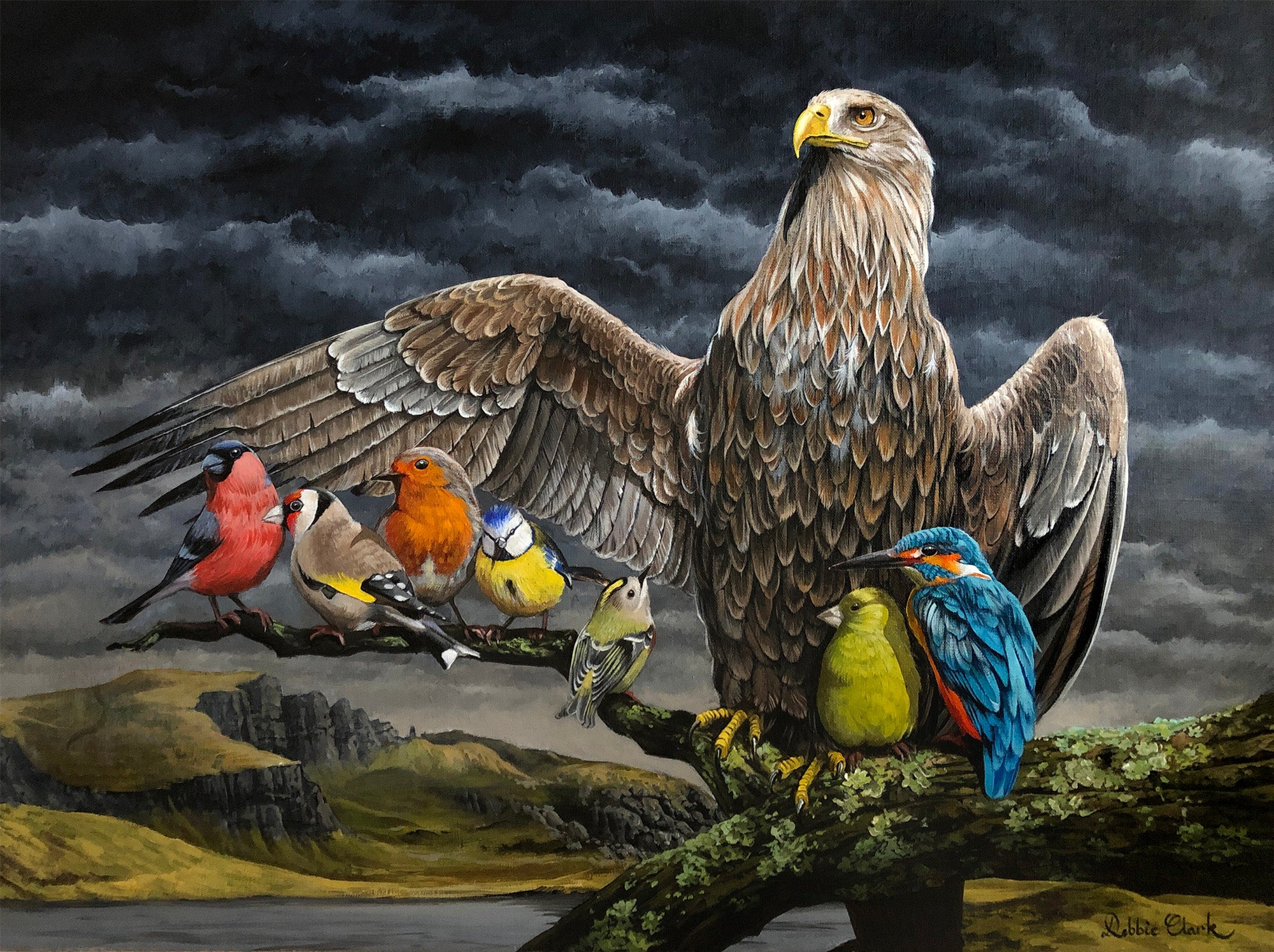 Covered by His Feathers