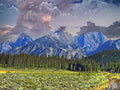 East Tuolune Meadow in Yosemite