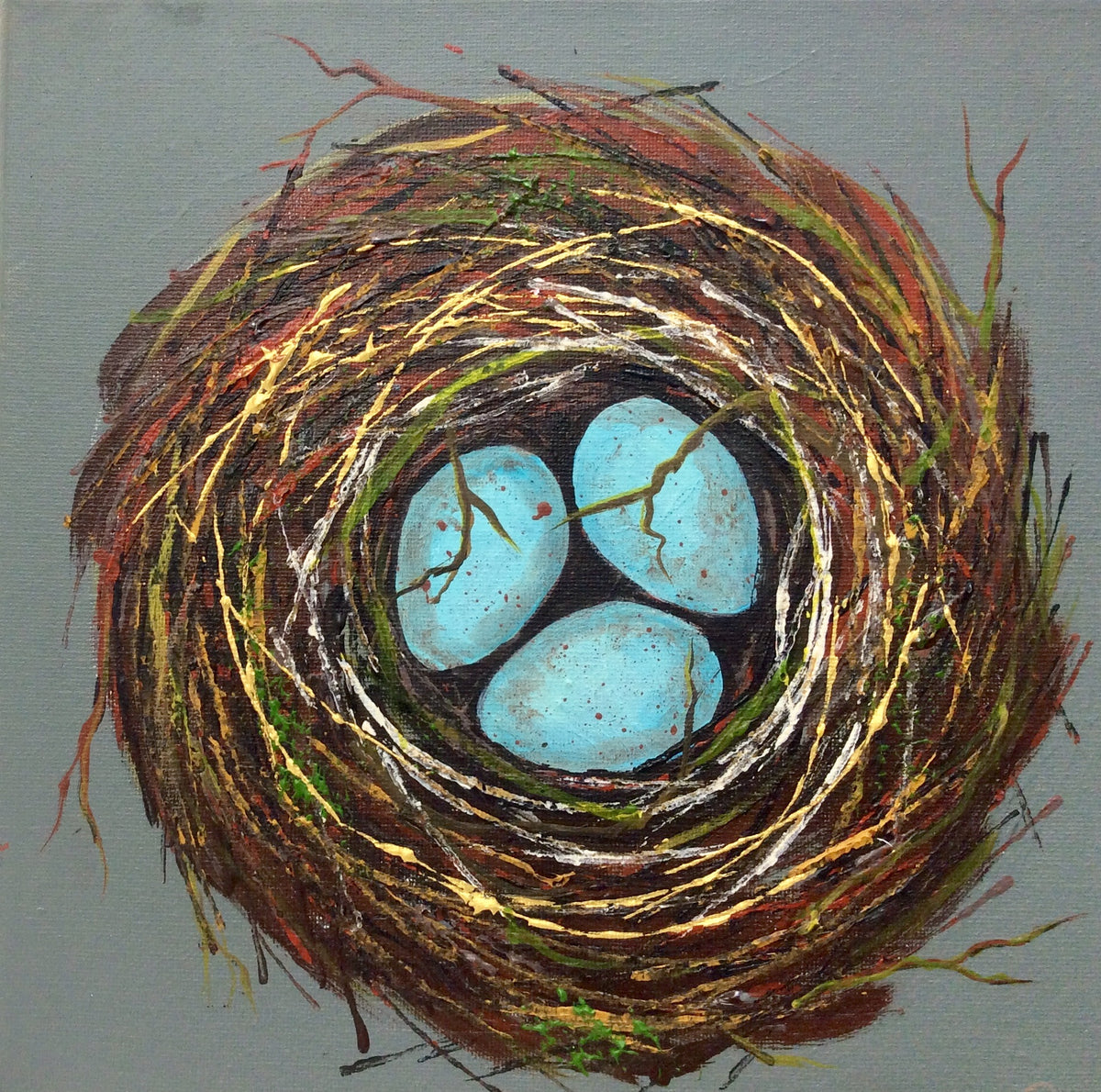 Birds Nest