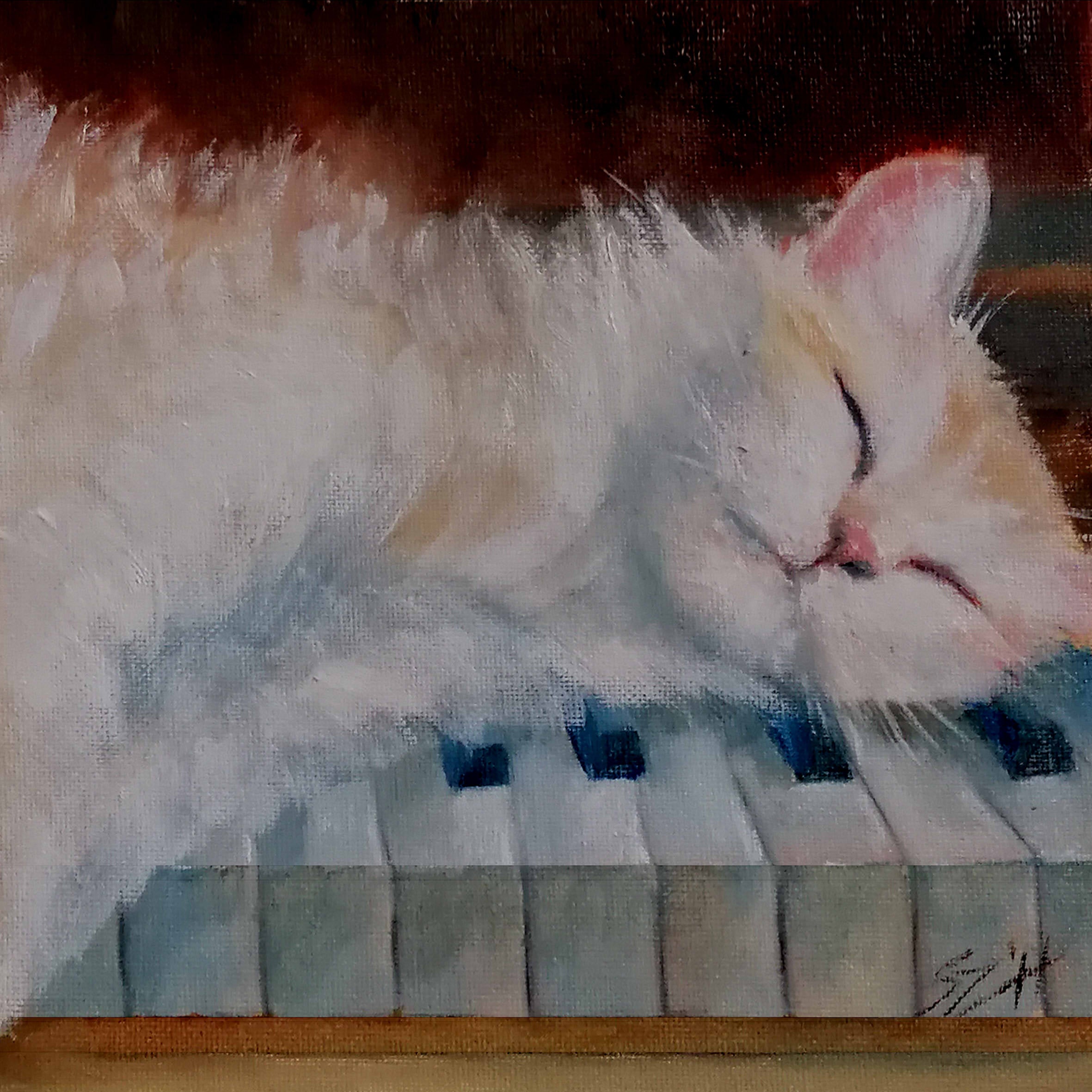 The Pianist Cat