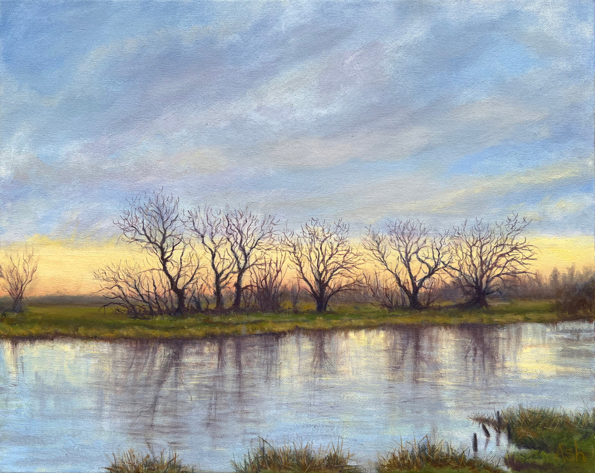 Ely Water Meadows