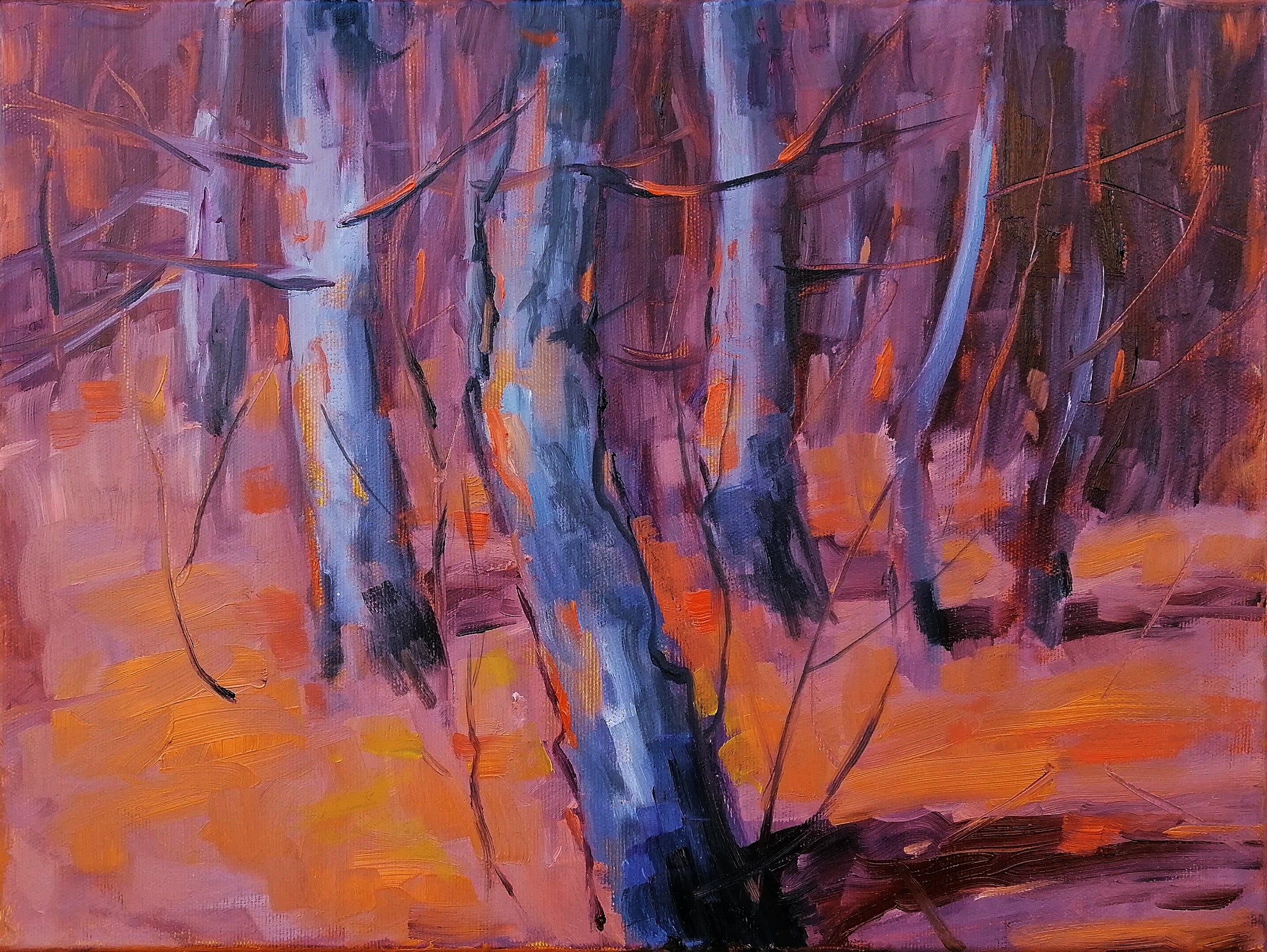 Evening Light
