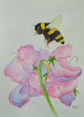 Bumblebee and Sweet Peas