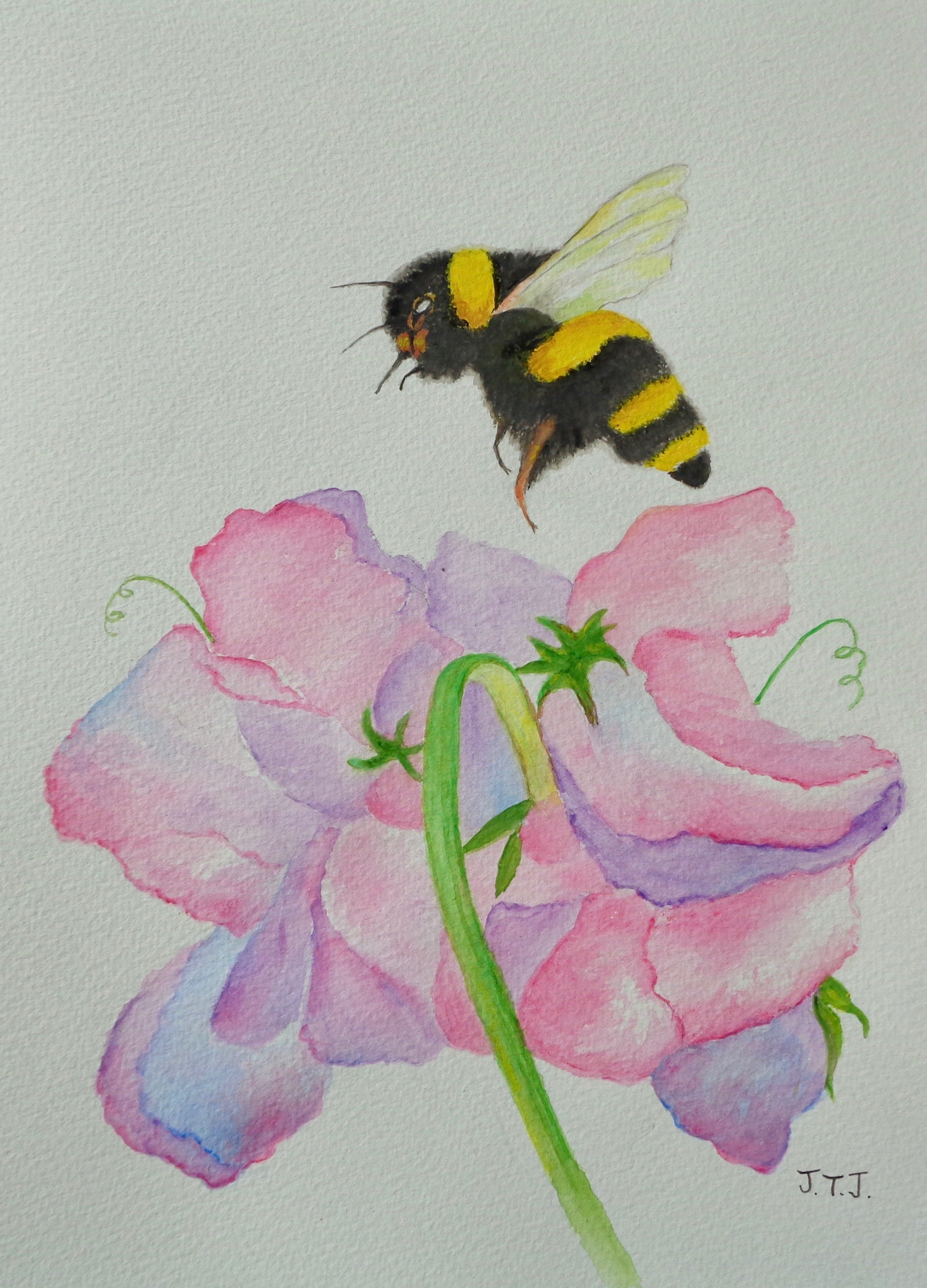 Bumblebee and Sweet Peas