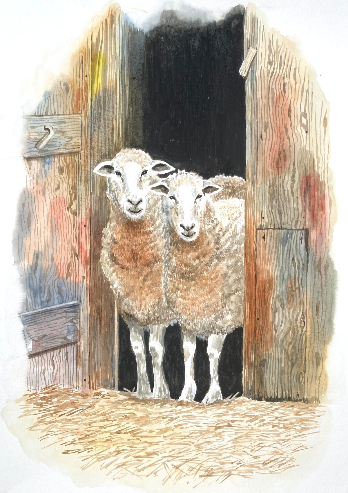 LOOKING AT EWE!