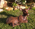 Red Deer Fawn