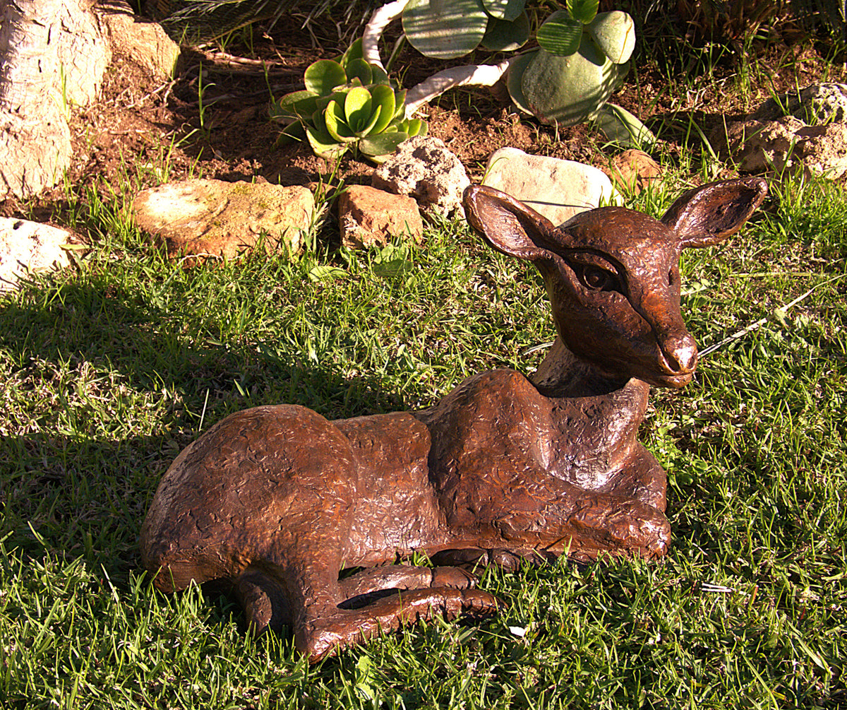 Red Deer Fawn