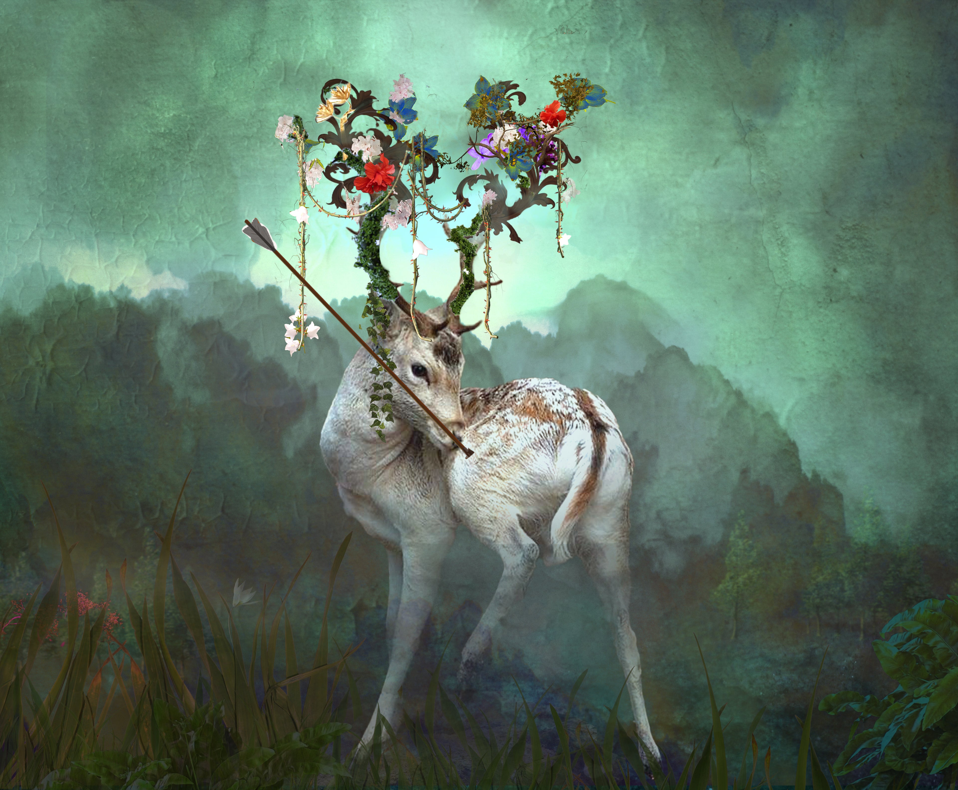 "Fawn"