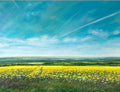 A Dream Of Summer