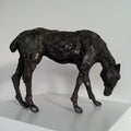 Horse Head Down