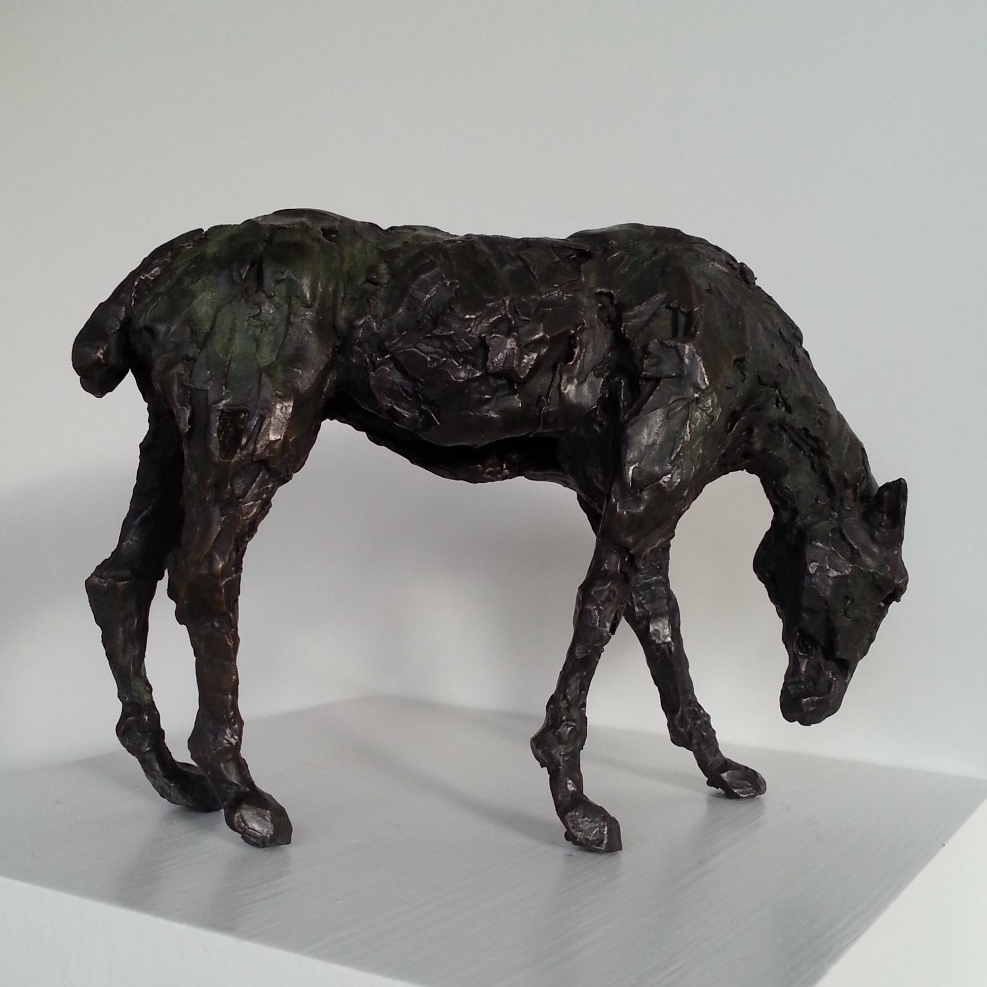 Horse Head Down
