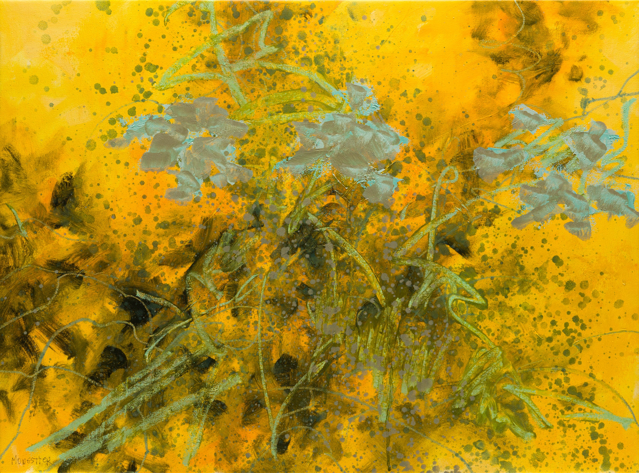 Wild Flowers
