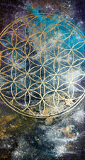 Flower of Life VI.