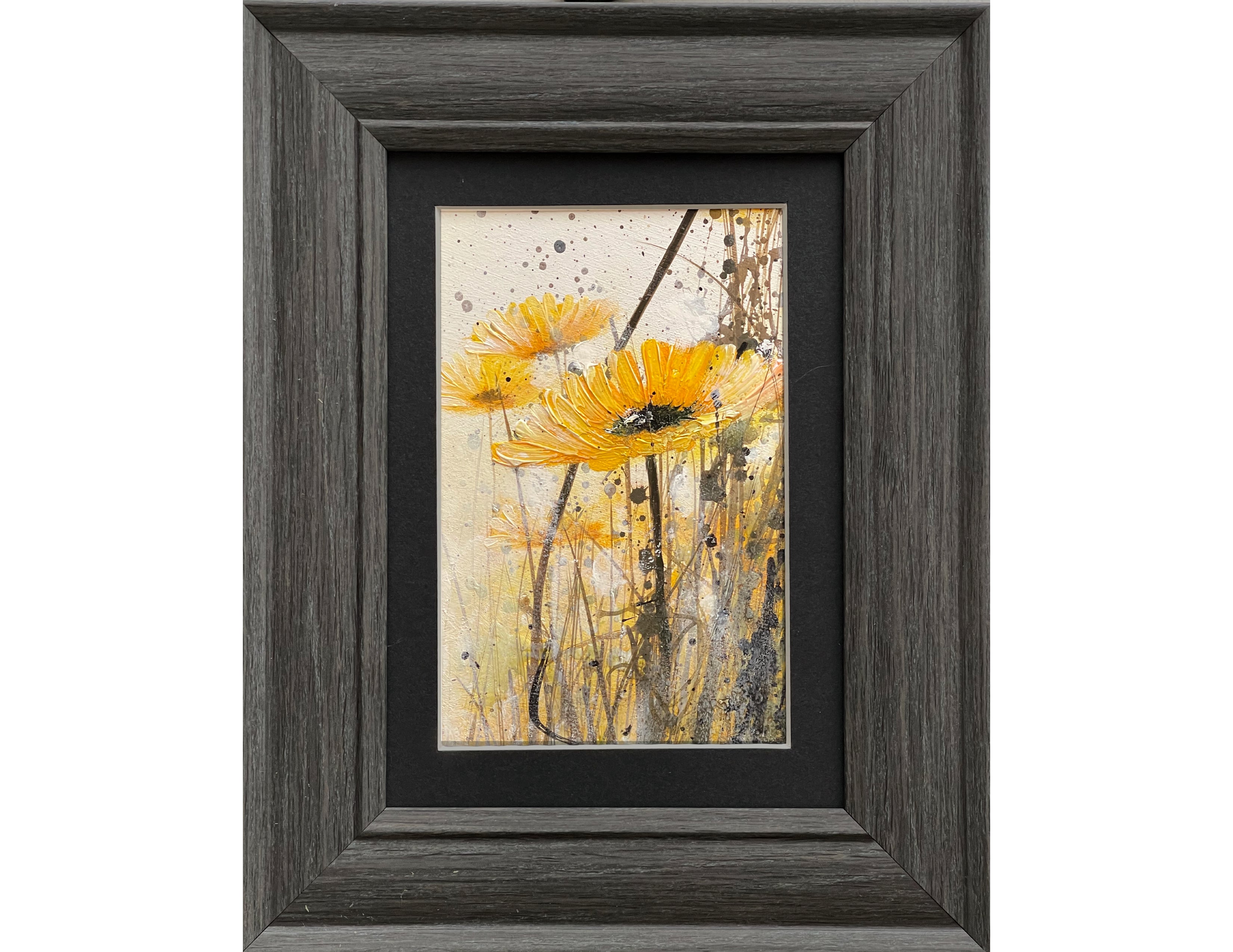 Framed Flowers and Light