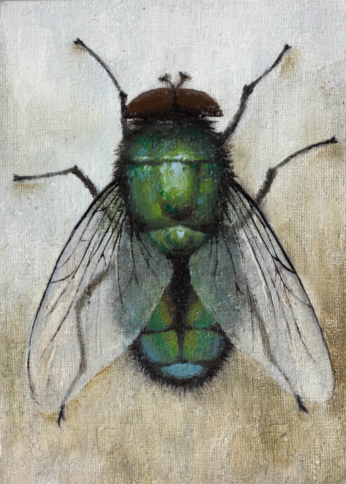 Fly