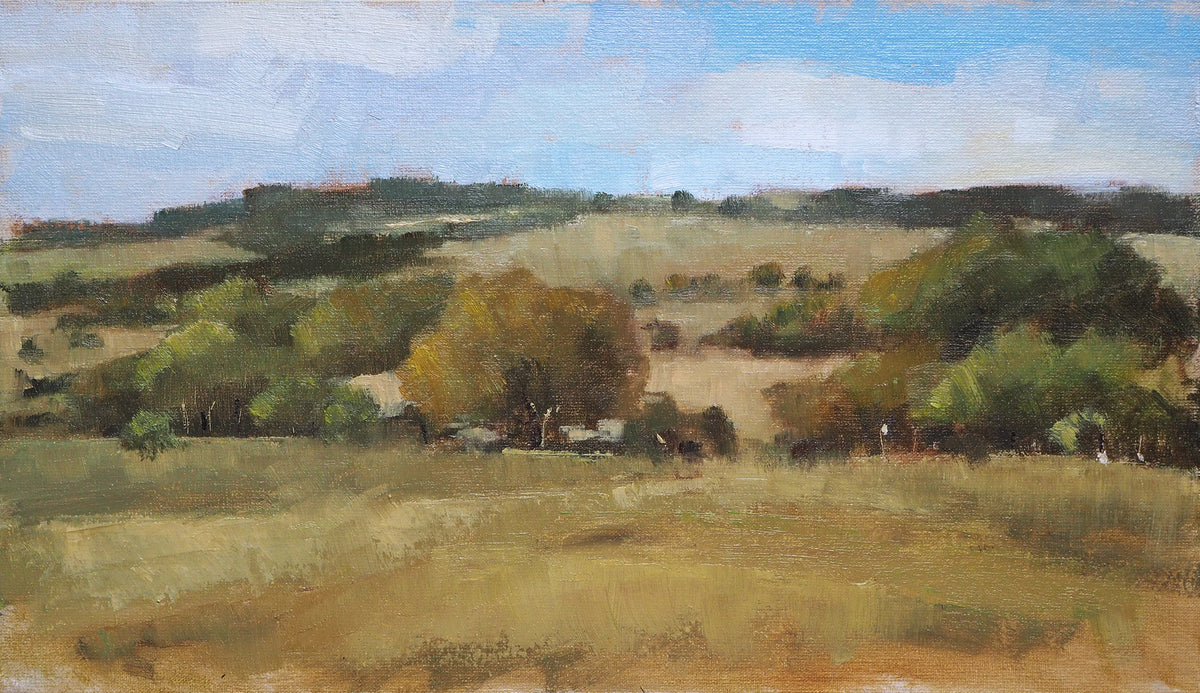 New Forest Landscape