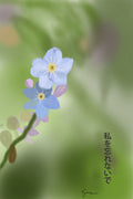 Forget-me-not Kanji