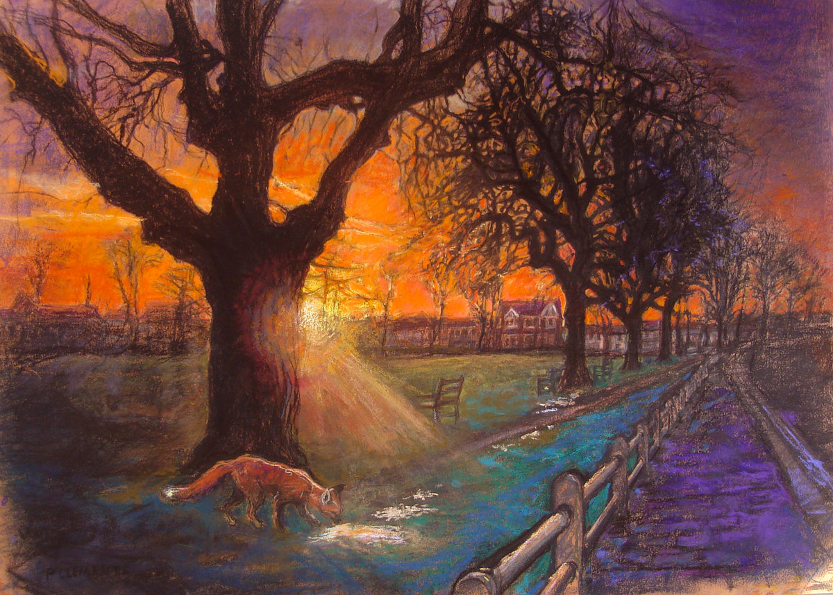 SUNSET WITH FOX ON TWICKENHAM GREEN